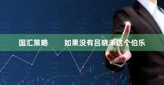 国汇策略        如果没有吕晓禾这个伯乐