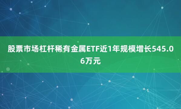 股票市场杠杆稀有金属ETF近1年规模增长545.06万元