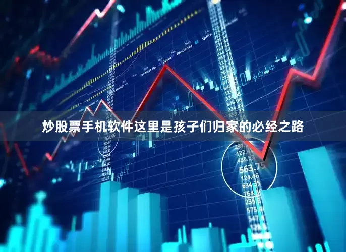 炒股票手机软件这里是孩子们归家的必经之路