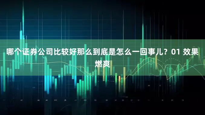 哪个证券公司比较好那么到底是怎么一回事儿？01 效果燃爽