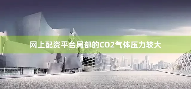 网上配资平台局部的CO2气体压力较大