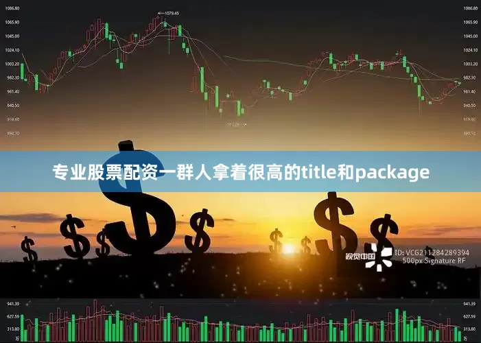 专业股票配资一群人拿着很高的title和package