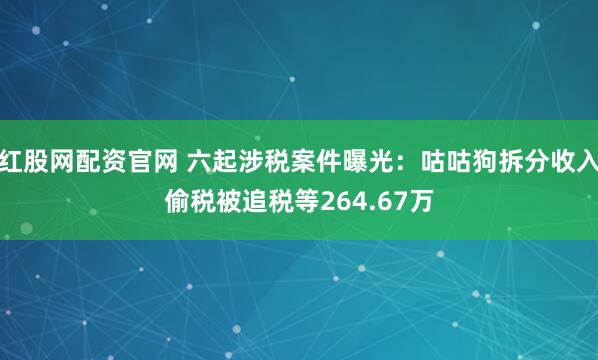 红股网配资官网 六起涉税案件曝光：咕咕狗拆分收入偷税被追税等264.67万